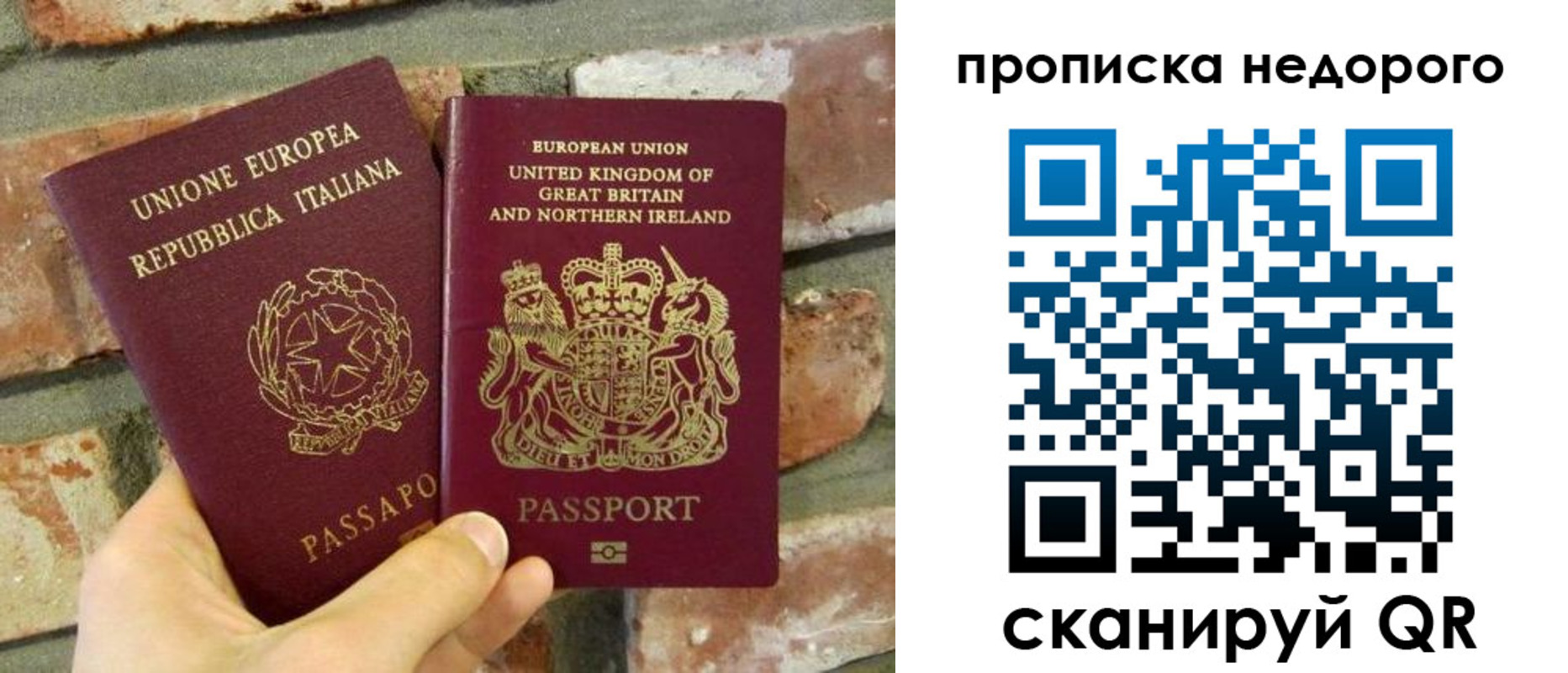 прописка поиск в Амурской области